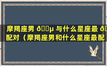 摩羯座男 🐵 与什么星座最 🌷 配对（摩羯座男和什么星座最配对指数）